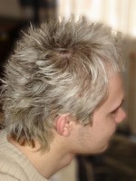 Melír pánsky biely